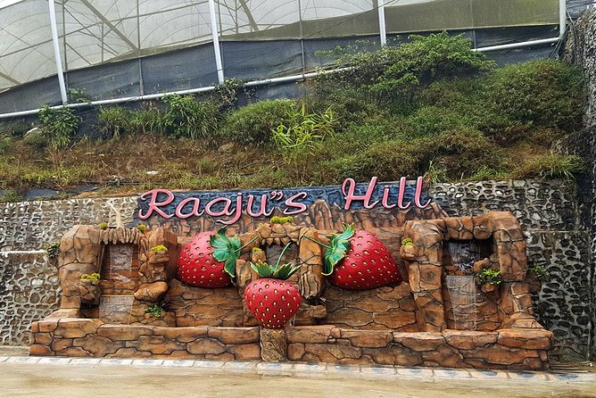 Cameron Highlands Tour From Kuala Lumpur (Private Tour) - Lata Iskandar waterfall after the first climb