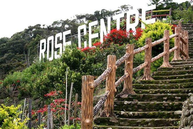 Cameron Highlands Tour on Private Basis - Butterfly Park and the insect garden