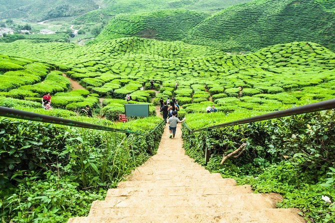Cameron Highlands Tour on Private Basis - Lata Iskandar Waterfall and the indigenous village