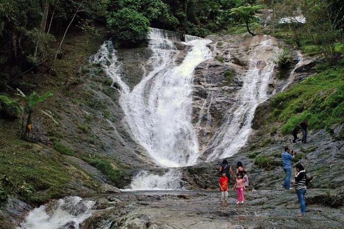 Cameron Highlands Tour on Private Basis - What the private format changes