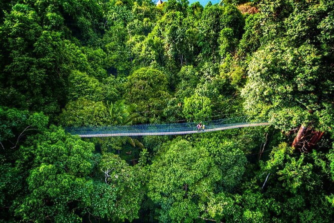Cameron Highlands Transfer Private (Per Vehicle) - Lata Iskandar waterfall brings the first photo stop