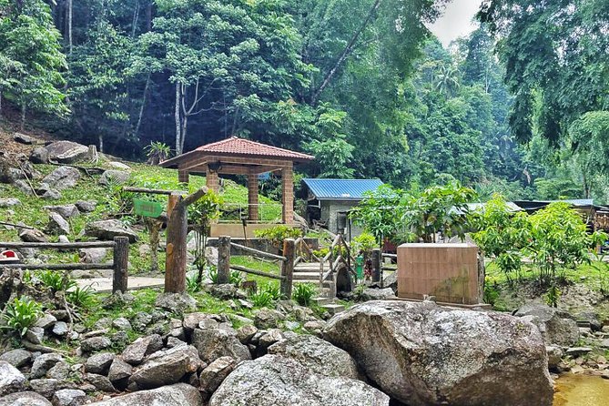Cameron Highlands with Lunch Guided Day Tour (SIC/Shared Tour) - Lata Iskandar Waterfall on the return