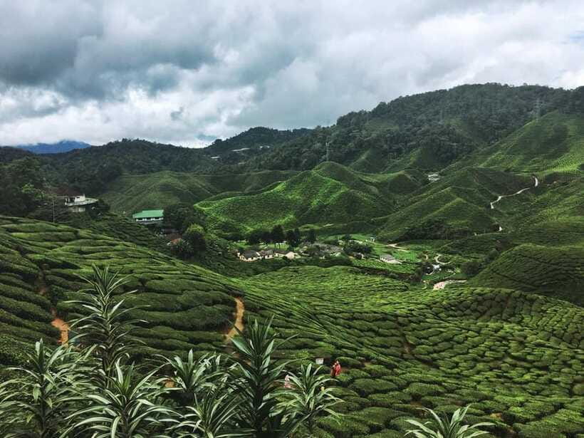 Cameroon Highland : Best nature in highland - Lunch, language, and private transport