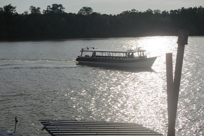 City, Batu Caves, Hot Spring, Silver Leaf Monkey & Fireflies Tour - Seafood dinner, tea, and useful meal details