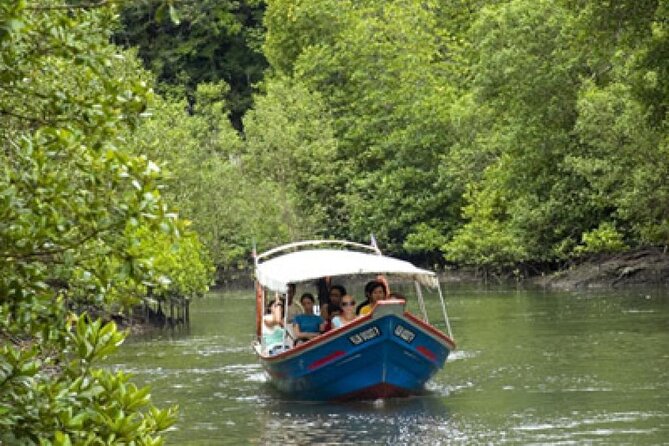 Combo - Cable Car & Sky Bridge And Tg. Rhu Mangrove Private Boat Tour With Lunch - Why this combination works in Langkawi
