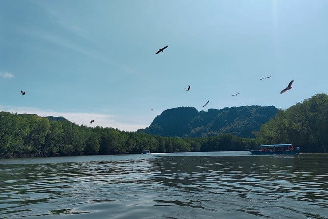 Combo Langkawi Cable Car & Sky Bridge With Mangrove Private Boat - Why this combination works in Langkawi