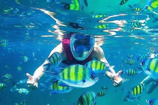 Combo:Langkawi Snorkeling & Tg Rhu mangrove private boat tour - Why This Four-Hour Route Works