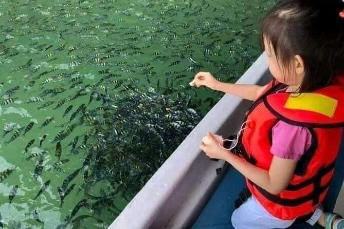Combo:Langkawi Snorkeling & Tg Rhu mangrove private boat tour - Through the Mangroves to Bat Caves