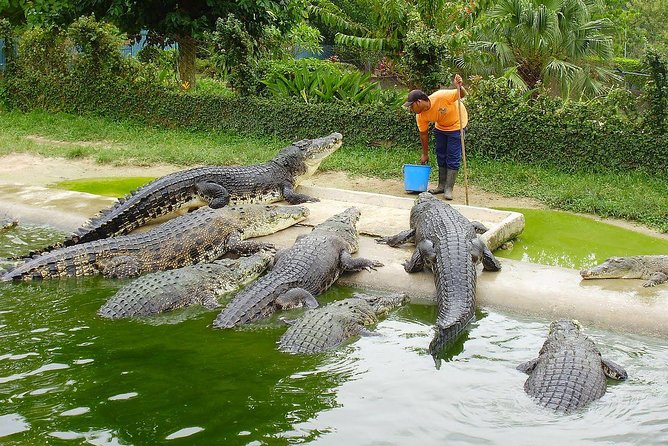 Customize Langkawi Full Day Tour (8 hrs-Private Tour) - Crocodile Adventureland suits families and wildlife fans