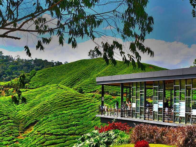 Day Trip to Cameron Highlands - Sam Poh Temple: 100 minutes for a quieter cultural stop