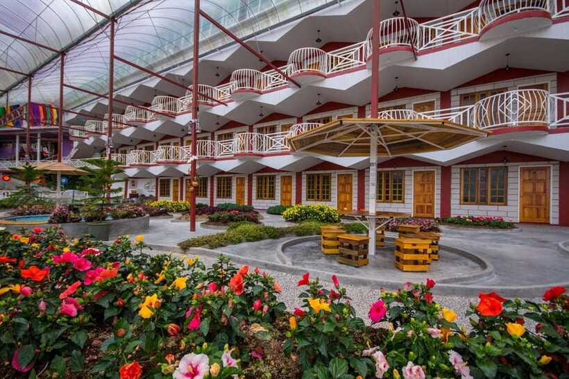 Day Trip to Cameron Highlands - What the vehicle and driver add to the day
