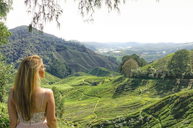 Day Trip to Cameron Highlands: Nature Escape from Kuala Lumpur - Sam Poh Temple gives you a quieter pause