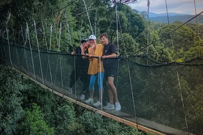 Day Trip to Kinabalu Park and Poring Hot Spring Guided Tour - Key Points Before You Book