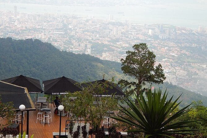 Dinner at Penang Hill Including Train Ride - Walking the illuminated garden after sunset