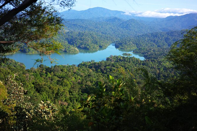 Dragonback Trek - Why This Short Trek Works So Well From Kuala Lumpur
