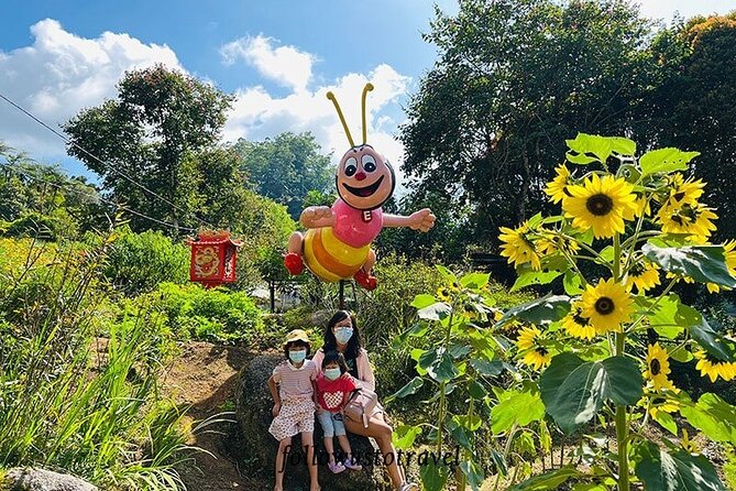 Elevate Your Senses: A Day of Wonders in Cameron Highlands! - Honey and Beekeeping at Tringkap