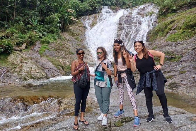 Explore Cameron Highlands: Full-Day Tour with Scenic Batu Caves - Bee farms and strawberry fields