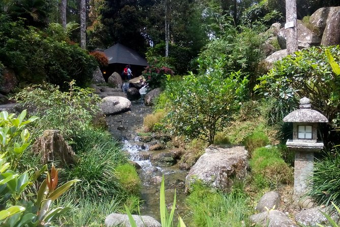 Fairy Tale Colmar Tropicale, Japanese Garden, Genting Highlands - The Japanese Garden and traditional tea ceremony