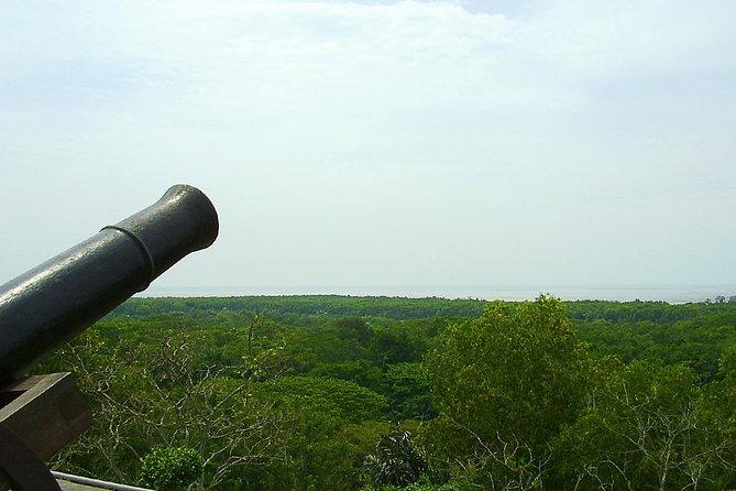 Fireflies and Kuala Selangor Tour Including Dinner - Kuala Selangor Nature Park and the mangrove setting