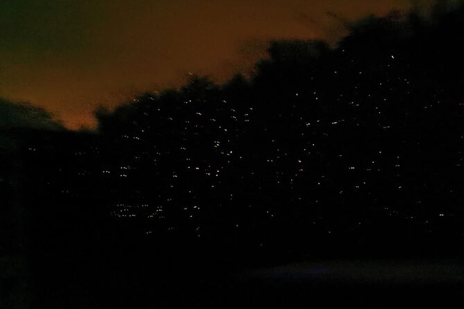 Fireflies & Silver leaf monkey Gazing tour - Blue Tears and eagle feeding cost extra