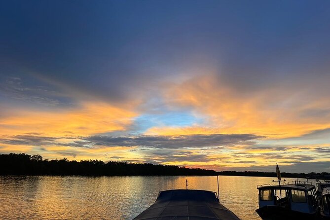 Fireflies & Silver leaf monkey Gazing tour - Guides can make or break the experience