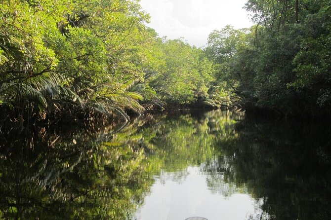 Fireflies Tour in Cherating - Key points before you book