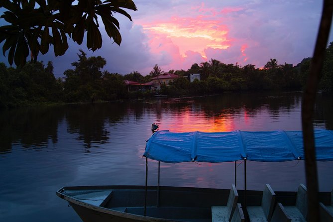 Fireflies Tour in Cherating - Why this Cherating night tour is worth considering