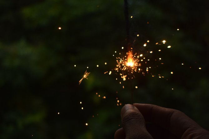 Fireflies Tour in Cherating - Watching hundreds of lights in the trees