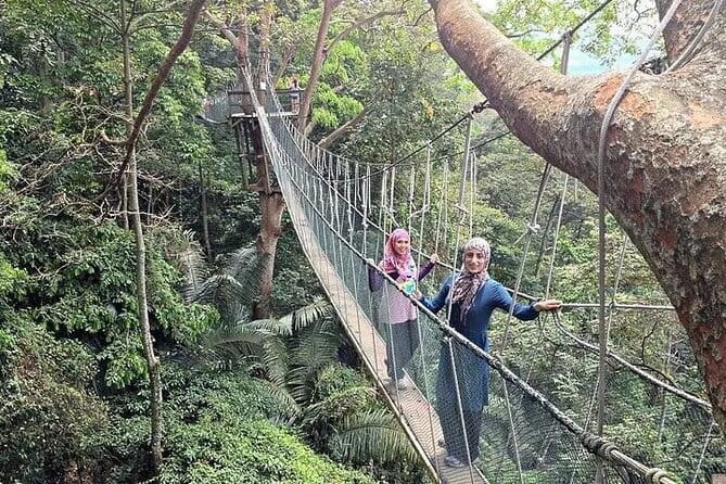 Forest Research Institute Malaysia (FRIM) Nature Trekking Tour - Key points to know before booking