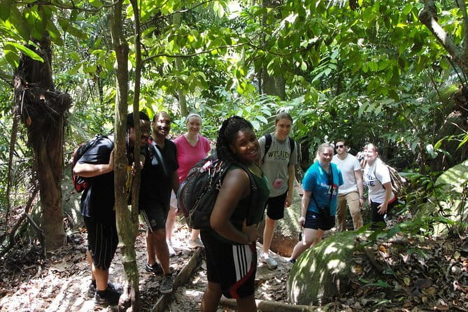 Forest Research Institute Malaysia (FRIM) Nature Trekking Tour - Entering a working forest research institute