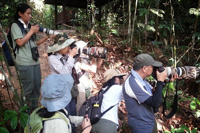 Fraser's Hill Bird-Watching & Nature Sightseeing Tour from Kuala Lumpur - Who Should Book This Fraser’s Hill Tour?