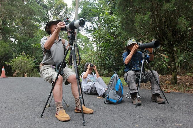 Fraser's Hill Bird-Watching & Nature Sightseeing Tour from Kuala Lumpur - A Two-Hour Trail Through Taman Awam Bukit Fraser