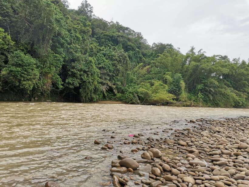 From Kota Kinabalu : Kiulu White Water Rafting Tour + meal - Is $71 Good Value?