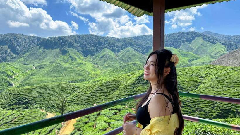 From Kuala Lumpur: Cameron Highlands Day Tour with Lunch - Key details before you book