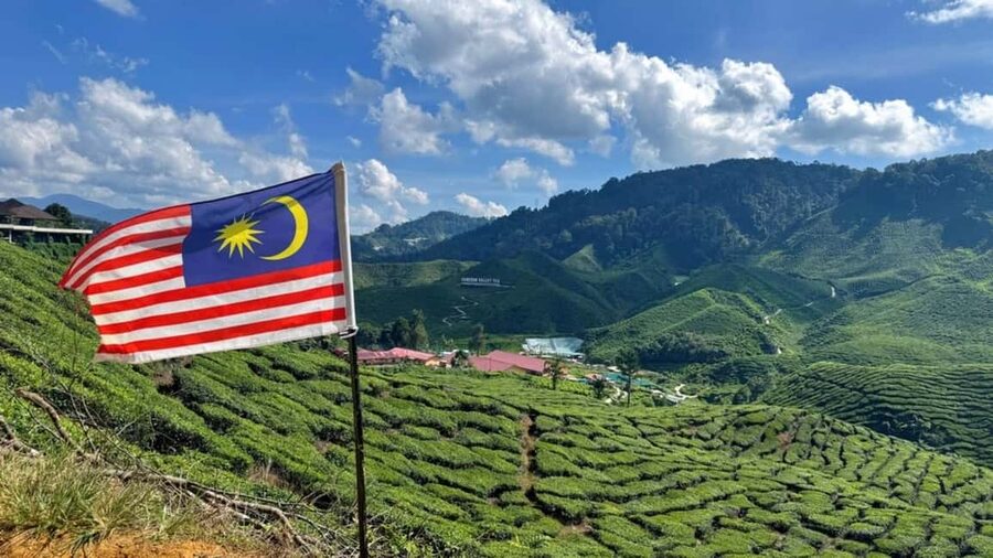 From Kuala Lumpur: Cameron Highlands Day Tour with Lunch - AGRO Market: flowers, animals, and plenty of photo stops