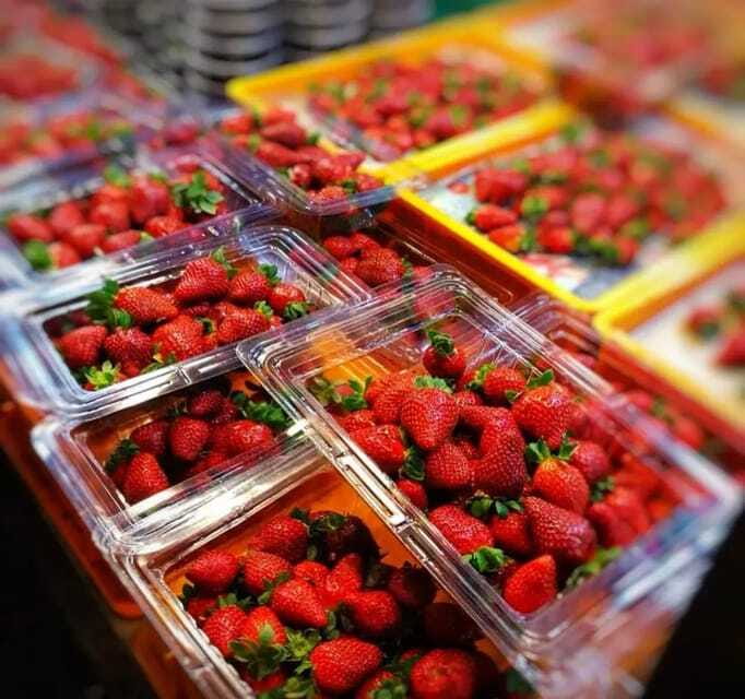 From Kuala Lumpur: Cameron Highlands Day Trip with Transfers - The 2-hour-30-minute journey from Kuala Lumpur