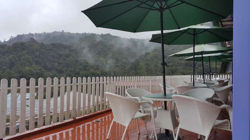 From Kuala Lumpur: Cameron Highlands Full-Day Tour - Why Cameron Highlands works as a day trip from Kuala Lumpur