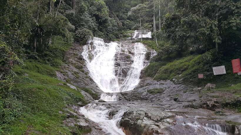 From Kuala Lumpur: Cameron Highlands Full-Day Tour - Butterfly Park and the small attraction problem