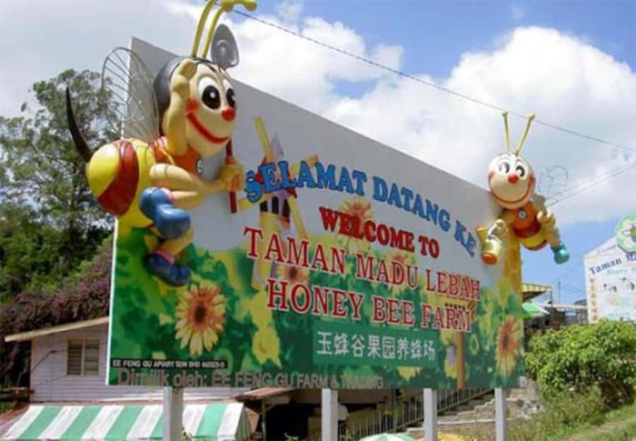 From Kuala Lumpur: Cameron Highlands Private or Join In Tour - Cameron Valley Tea House 2: the day’s main event