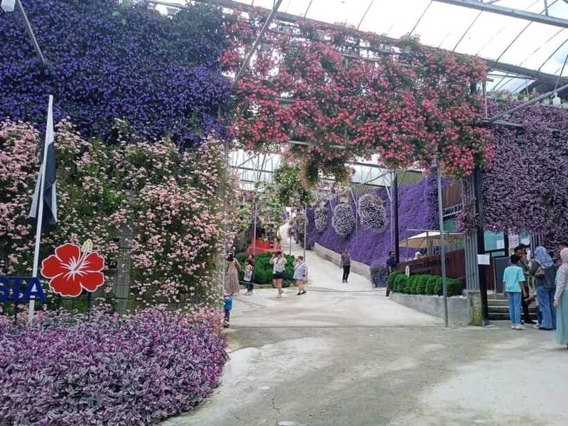 From Kuala Lumpur: Cameron Highlands Private or Join In Tour - Flora Park: pay extra for the best photographs