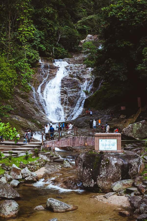 From Kuala Lumpur: Cameron Highlands Private or Join In Tour - Bee Farm and Cactus Valley: two short, contrasting stops