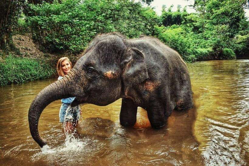 From Kuala Lumpur: Elephant Sanctuary Guided Tour - Key points before you book