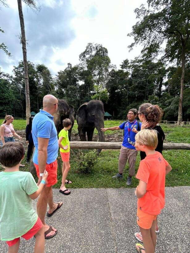 From Kuala Lumpur: Elephant Sanctuary Guided Tour - Leaving Kuala Lumpur for the elephant sanctuary