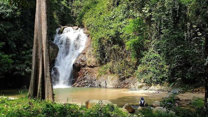 From Kuala Lumpur: Elephant Sanctuary Guided Tour - Lunch, local stops, and the ride home
