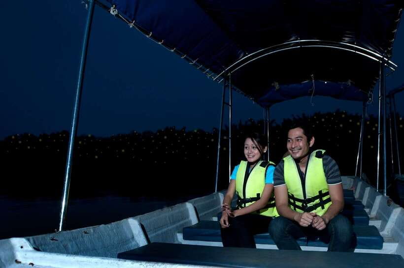 From Kuala Lumpur: Fireflies Tour and Seafood Dinner - Why this Kuala Selangor evening works