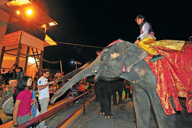 From Kuala Lumpur Full Day A'Famosa Theme Park Experience - Who will enjoy A’Famosa most?