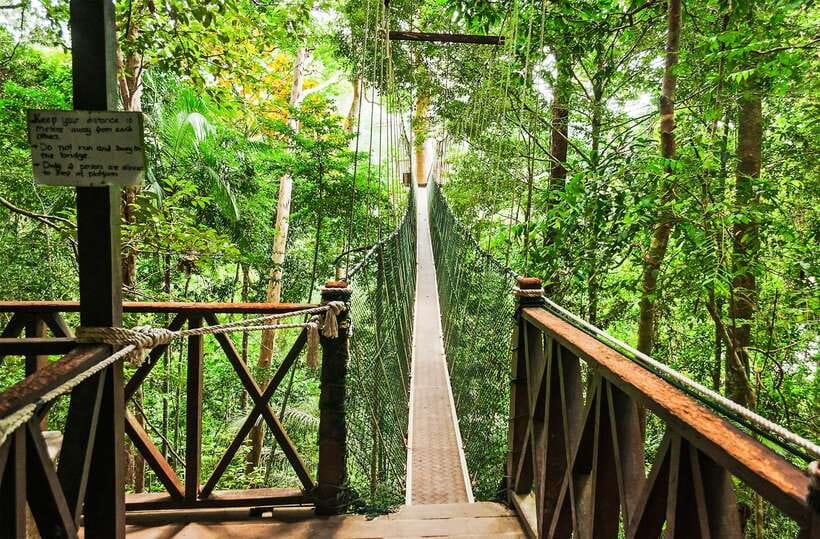 From Kuala Lumpur: Full-Day Taman Negara National Park - Key points before you book