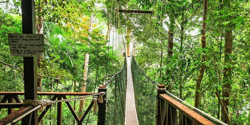 From Kuala Lumpur: Full-Day Taman Negara National Park - Lunch beside the river in Kuala Tahan