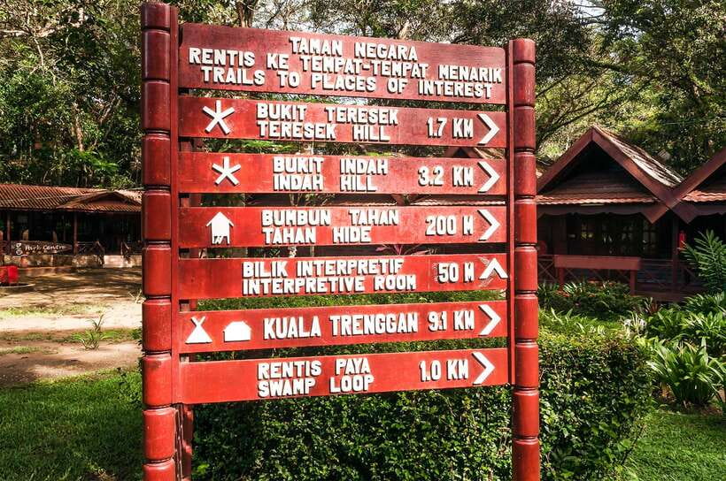 From Kuala Lumpur: Full-Day Taman Negara National Park - The 6:00 morning pickup and three-hour drive