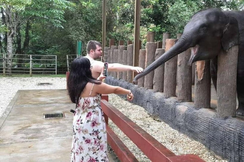 From Kuala Lumpur: Kuala Gandah & Batu Caves Day Trip - Why this Batu Caves and elephant pairing works